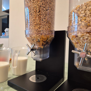 Müsli und Cornflakes